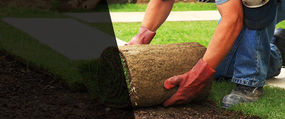 Goodview Landscapers